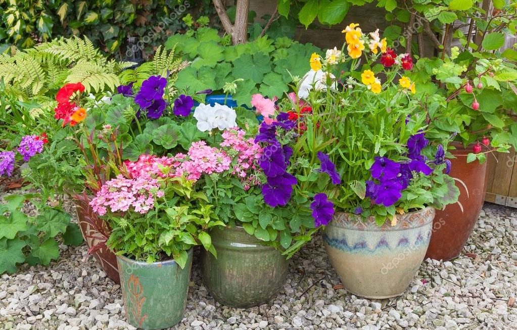 Fresh & Fabulous: How to Plant in Garden Pots